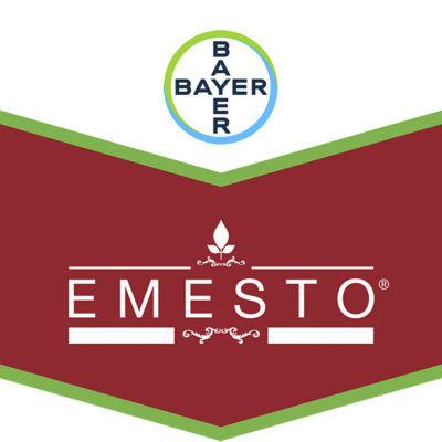 Emesto®