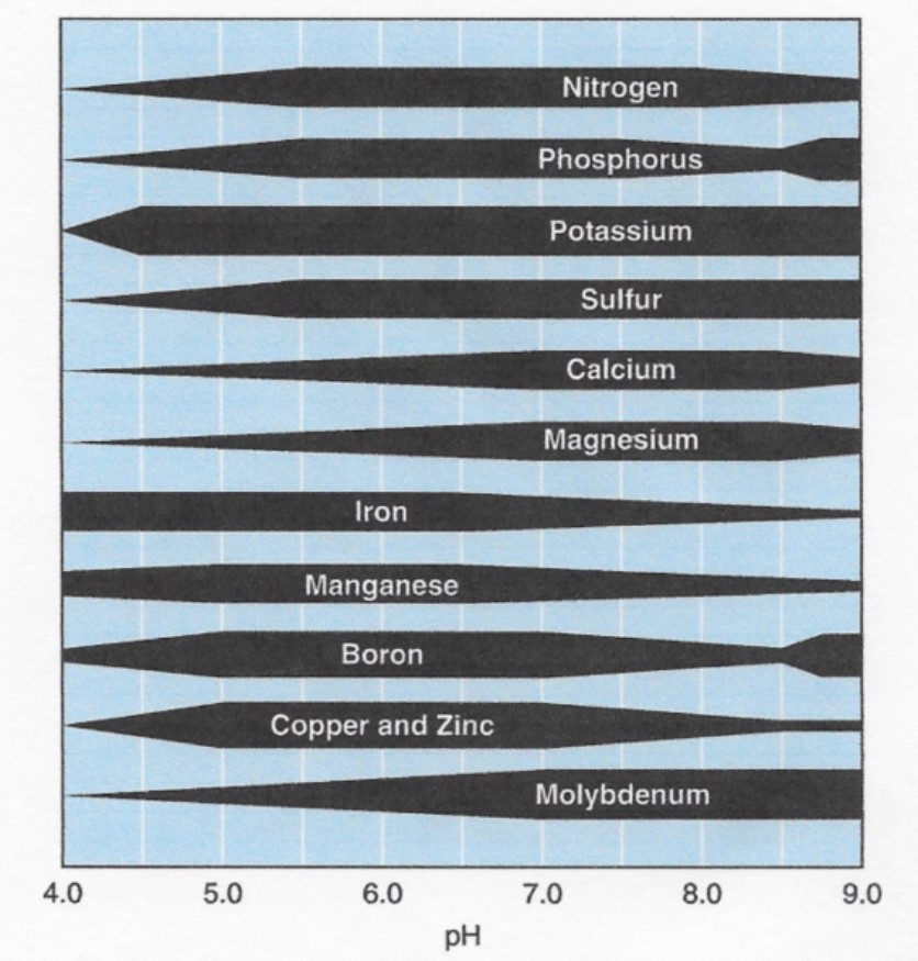 Nutrient availability based on soil pH. Illinois Agronomy Handbook.